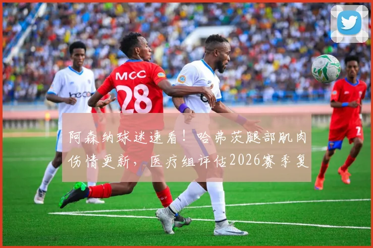 阿森纳球迷速看!哈弗茨腿部肌肉伤情更新,医疗组评估2026赛季复出时间乐观