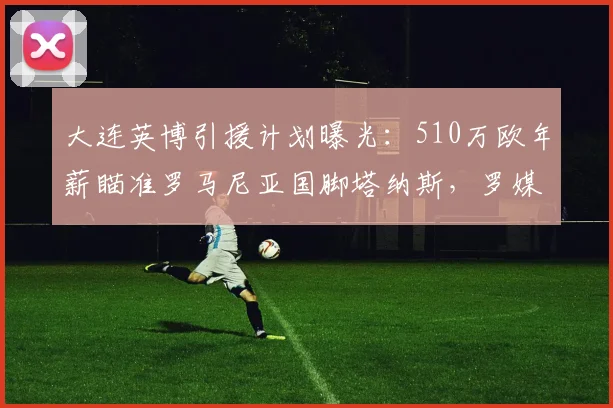 大连英博引援计划曝光：510万欧年薪瞄准罗马尼亚国脚塔纳斯，罗媒最新报道解读